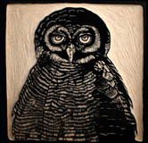 woodcut brown owl